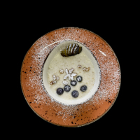 შვრიის ფაფა ხილით